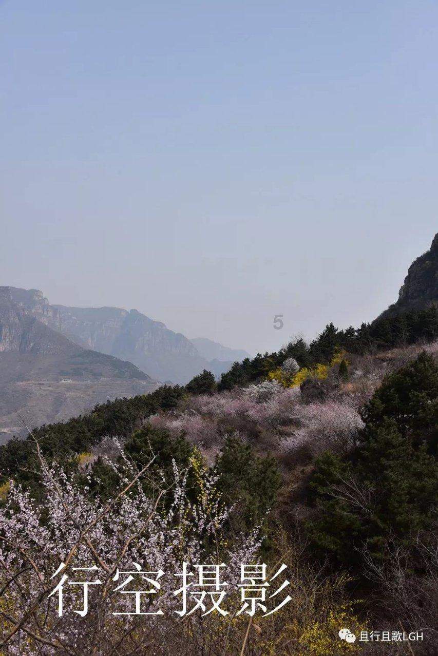 逃离地下古寺庙